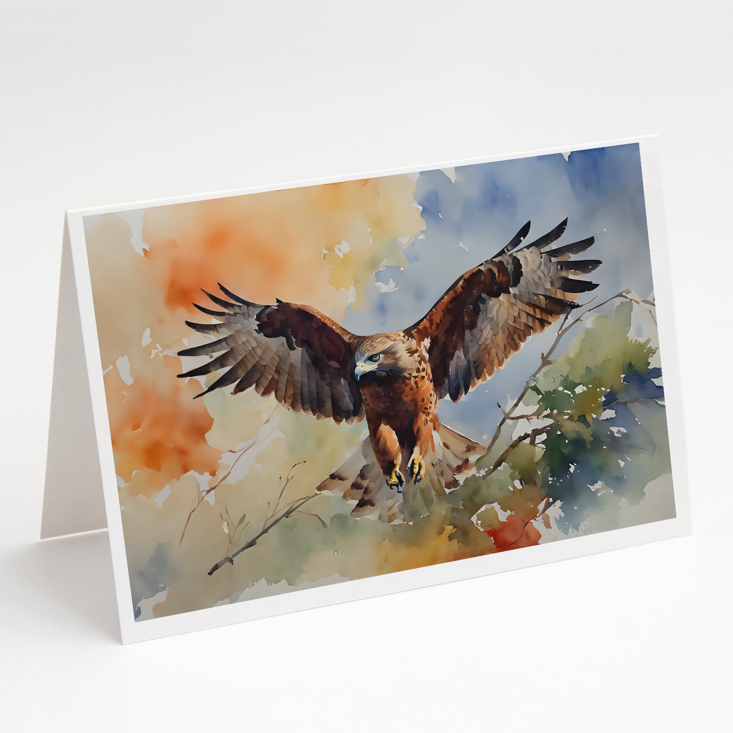 Buy this Hawk Greeting Cards Pack of 8