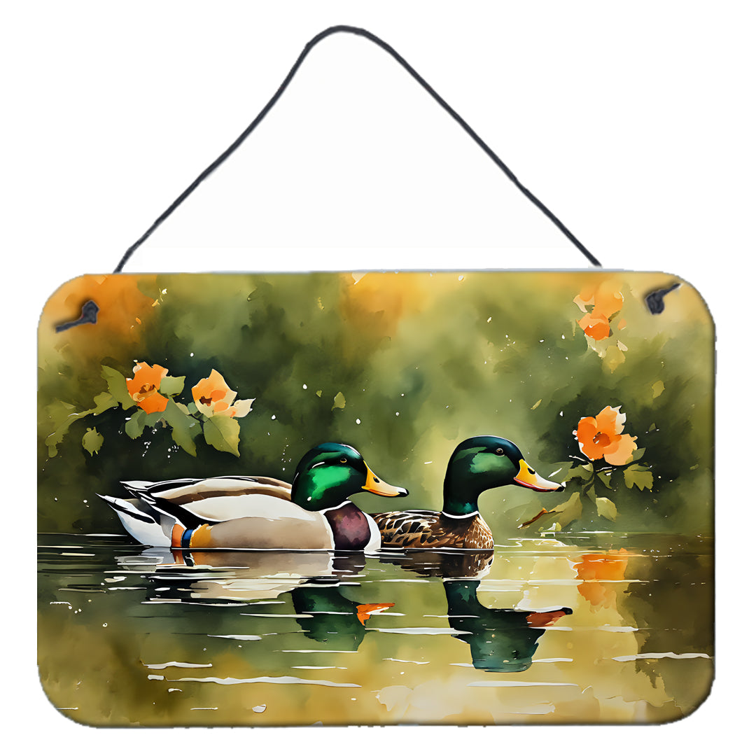 Buy this Mallard Wall or Door Hanging Prints