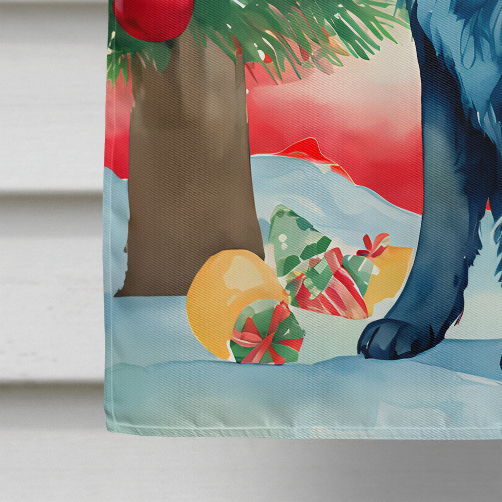Newfoundland Christmas House Flag