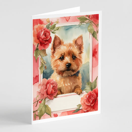 Buy this Norwich Terrier Valentine Roses Greeting Cards Pack of 8