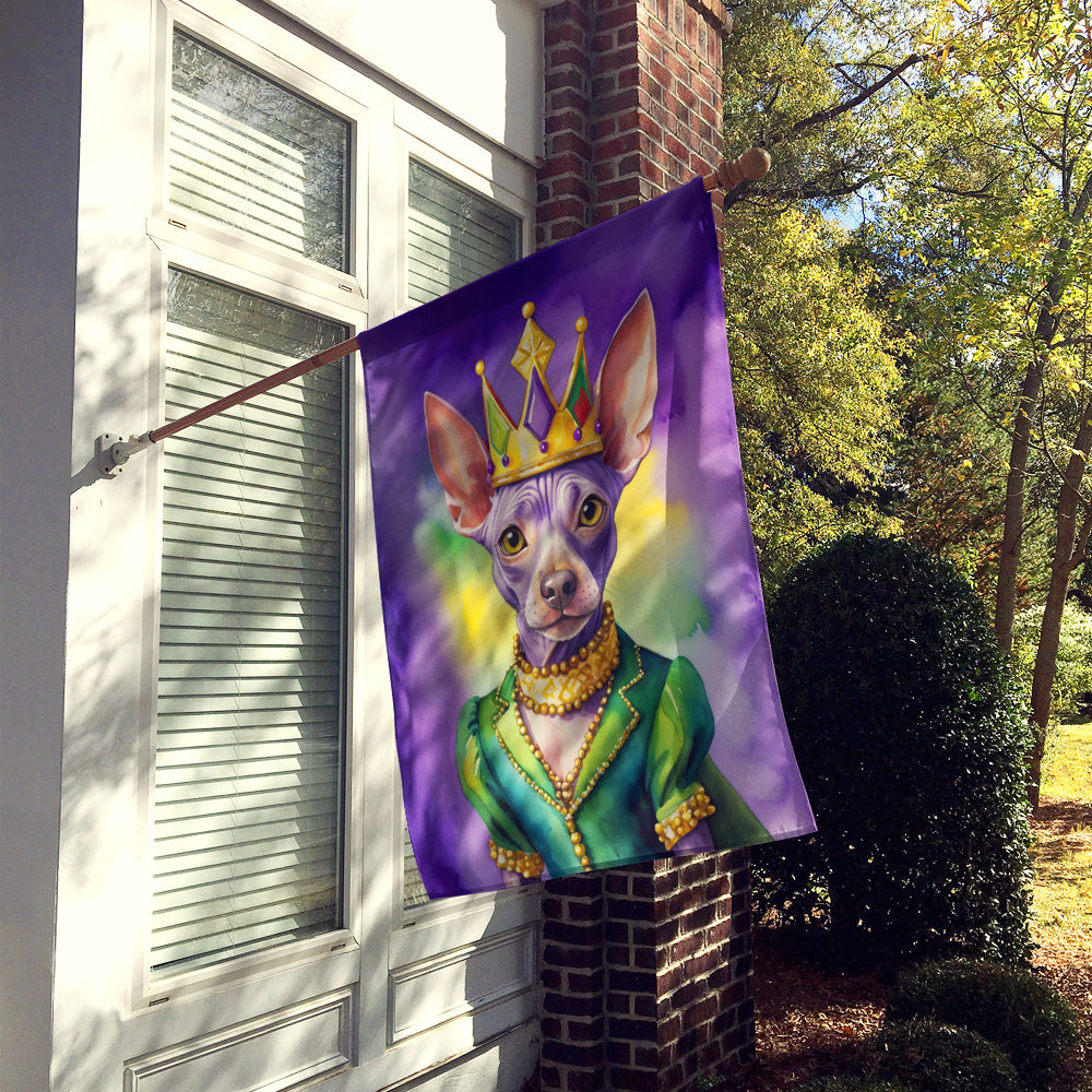 American Hairless Terrier King of Mardi Gras House Flag