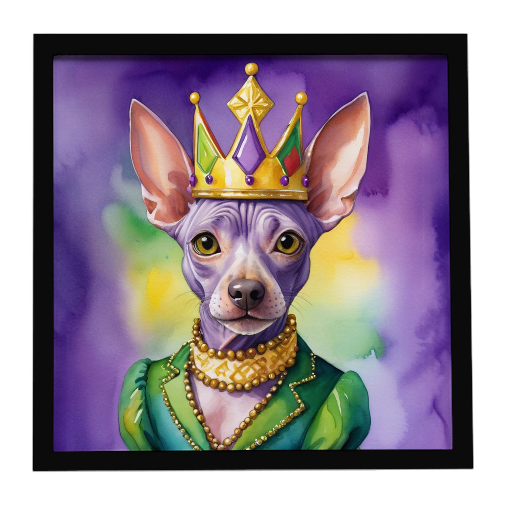 Buy this American Hairless Terrier King of Mardi Gras Framed Metal Print