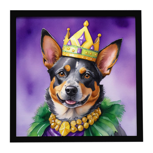 Buy this Australian Cattle Dog King of Mardi Gras Framed Metal Print