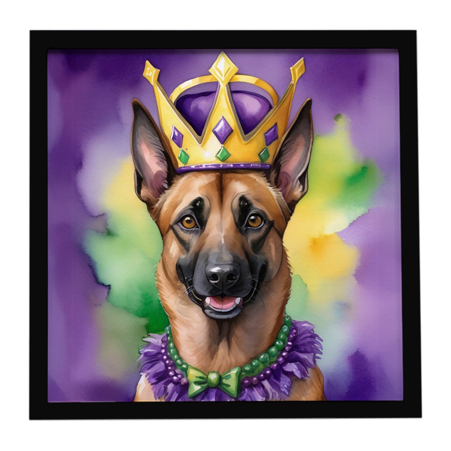 Buy this Belgian Malinois King of Mardi Gras Framed Metal Print