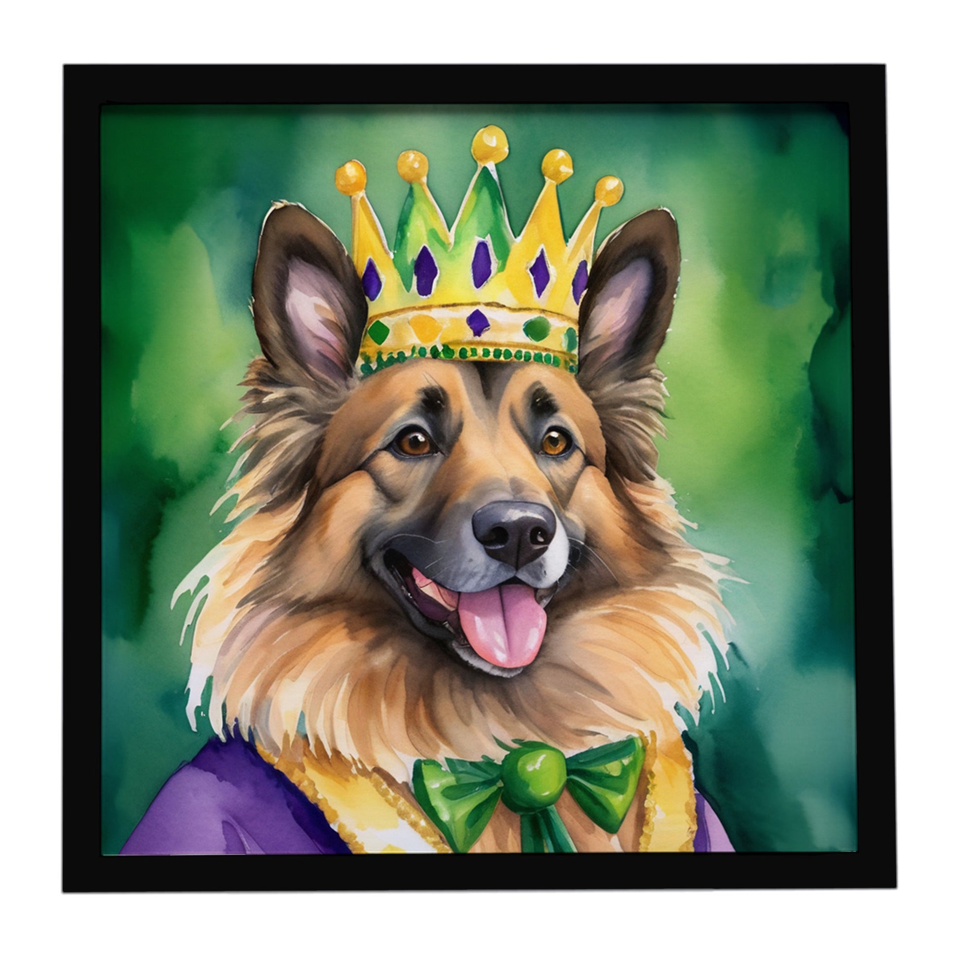 Buy this Belgian Tervuren King of Mardi Gras Framed Metal Print