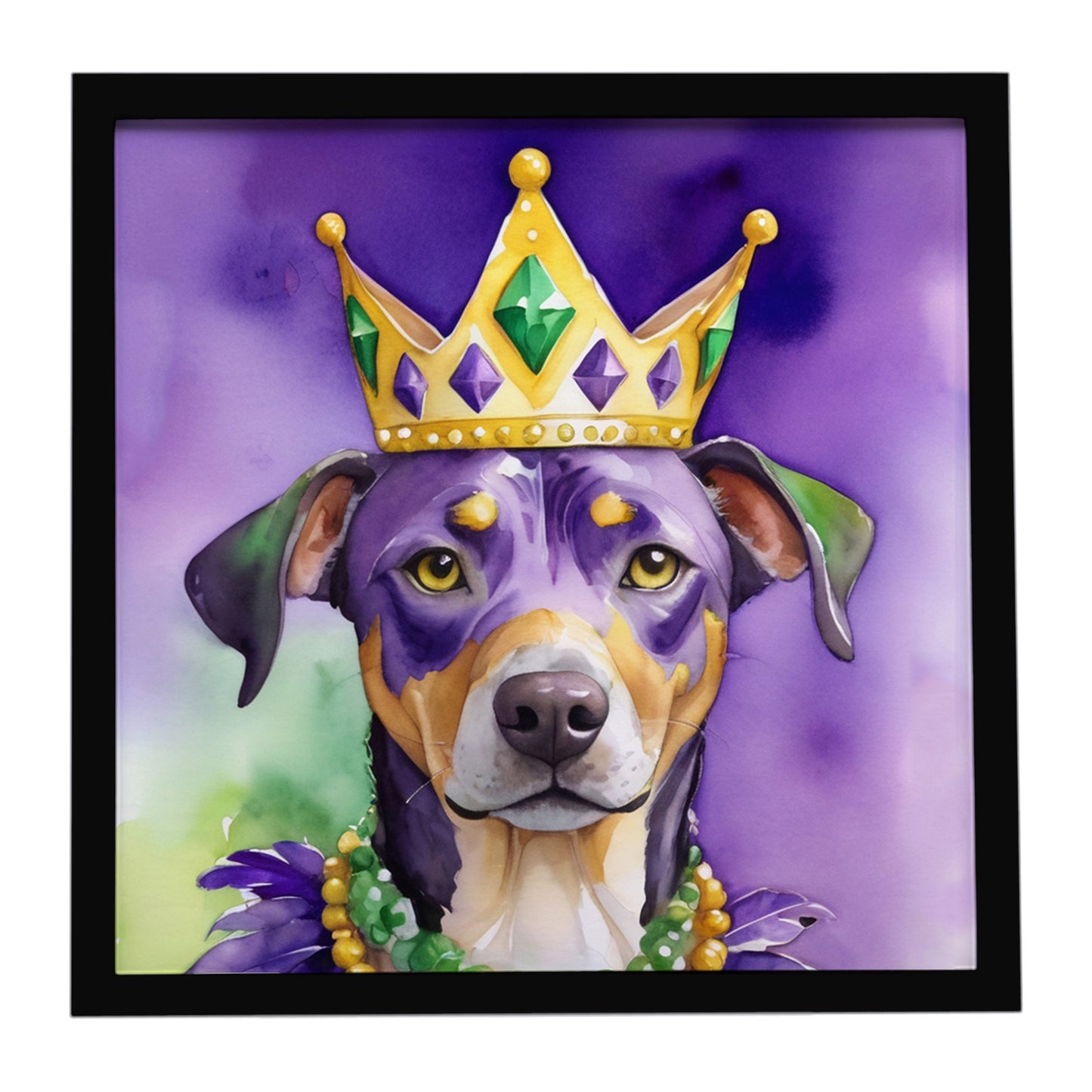 Buy this Catahoula King of Mardi Gras Framed Metal Print