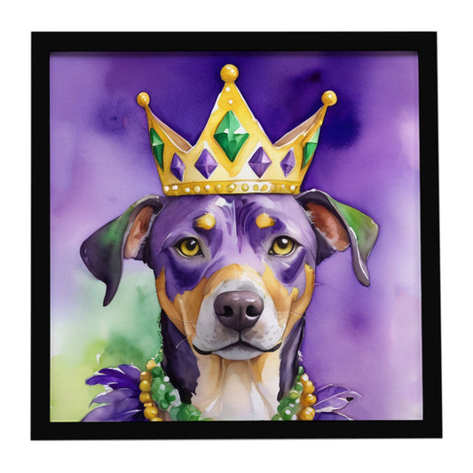 Buy this Catahoula King of Mardi Gras Framed Metal Print