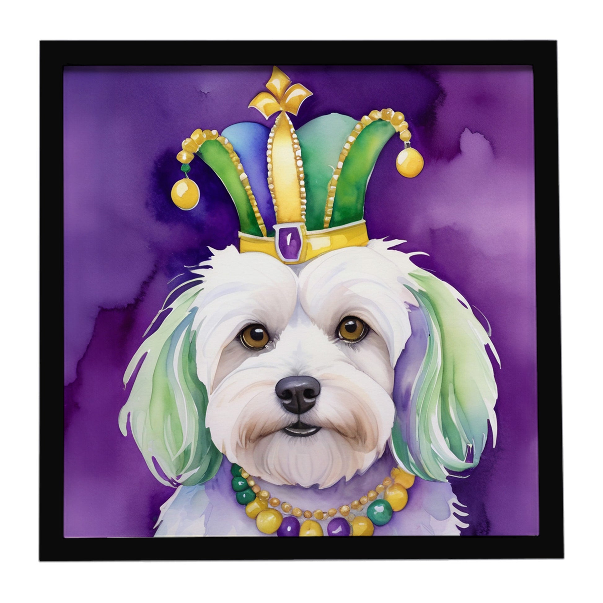 Buy this Coton de Tulear King of Mardi Gras Framed Metal Print