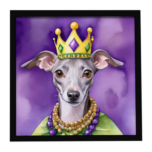 Buy this Italian Greyhound King of Mardi Gras Framed Metal Print