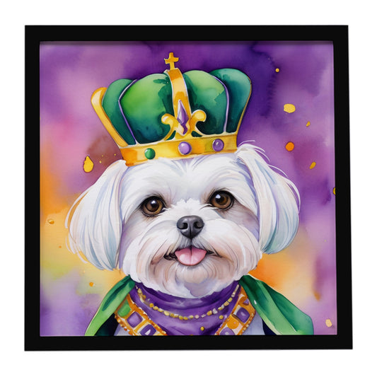Buy this Maltese King of Mardi Gras Framed Metal Print