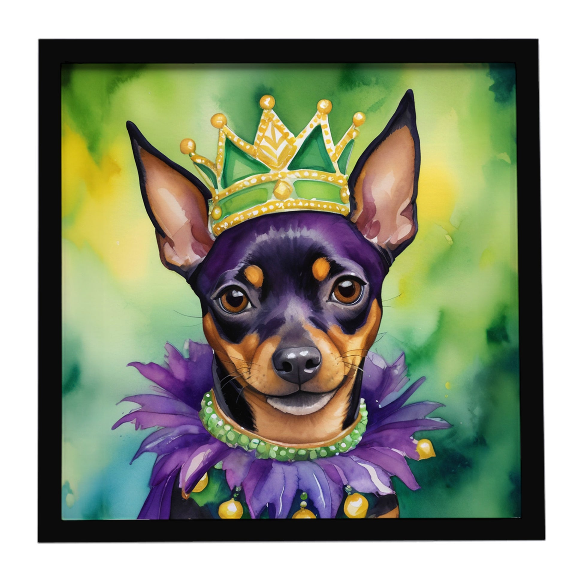 Buy this Miniature Pinscher King of Mardi Gras Framed Metal Print