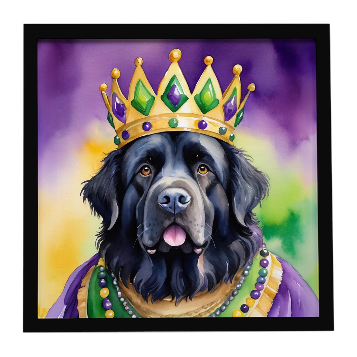 Buy this Newfoundland King of Mardi Gras Framed Metal Print