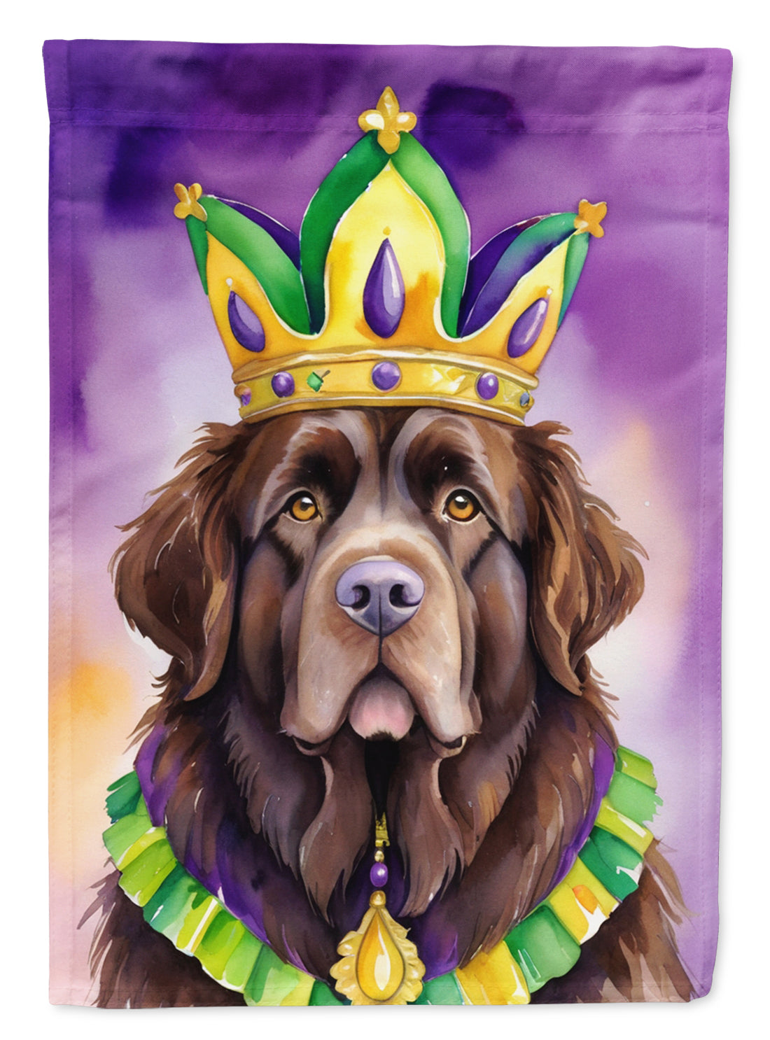 Buy this Newfoundland King of Mardi Gras House Flag