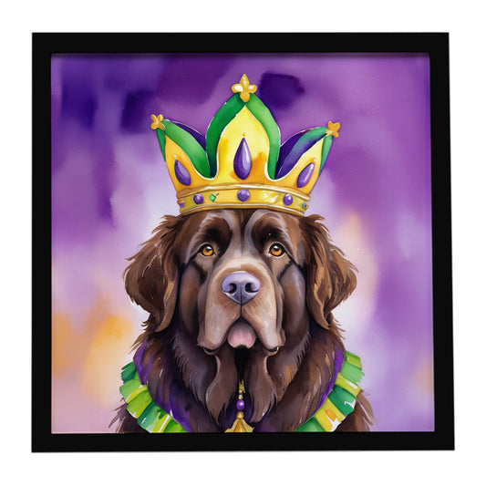 Buy this Newfoundland King of Mardi Gras Framed Metal Print