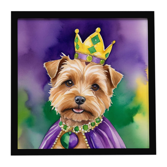Buy this Norfolk Terrier King of Mardi Gras Framed Metal Print