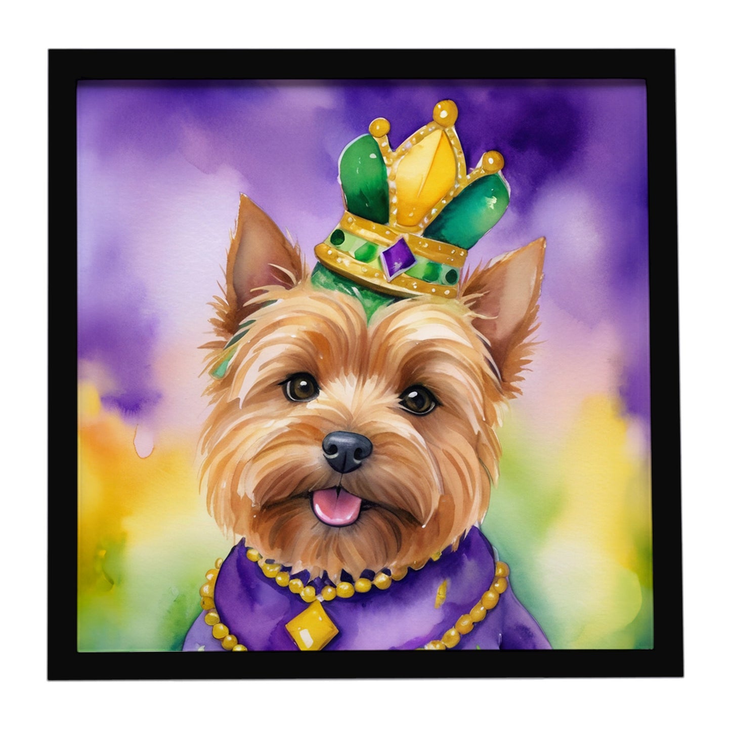 Buy this Norwich Terrier King of Mardi Gras Framed Metal Print