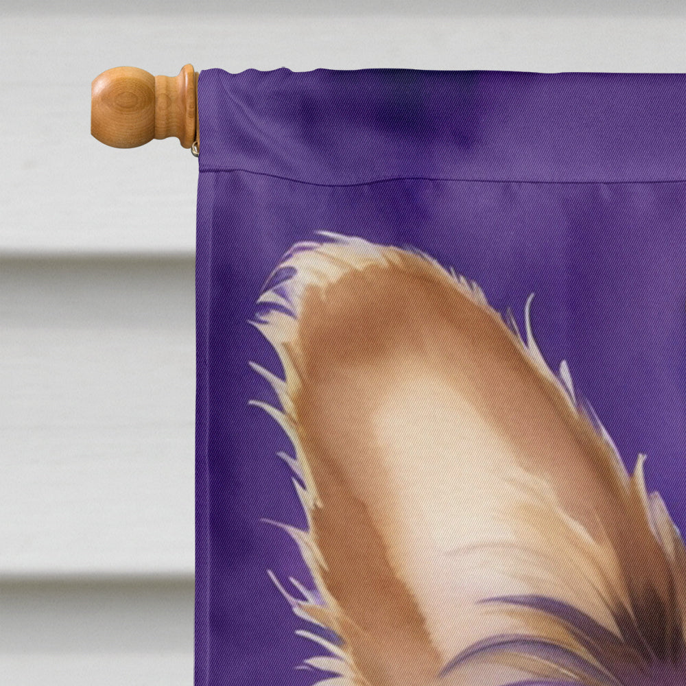 Papillon King of Mardi Gras House Flag