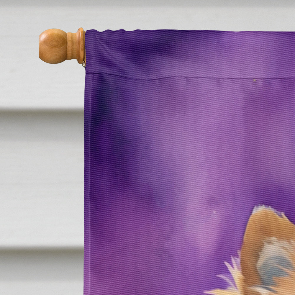 Pomeranian King of Mardi Gras House Flag