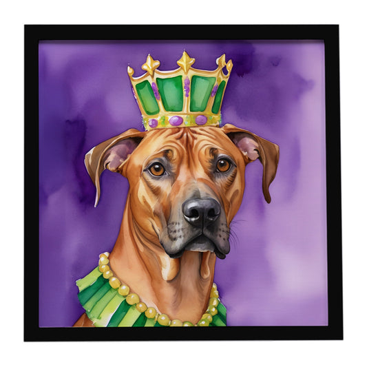 Buy this Rhodesian Ridgeback King of Mardi Gras Framed Metal Print