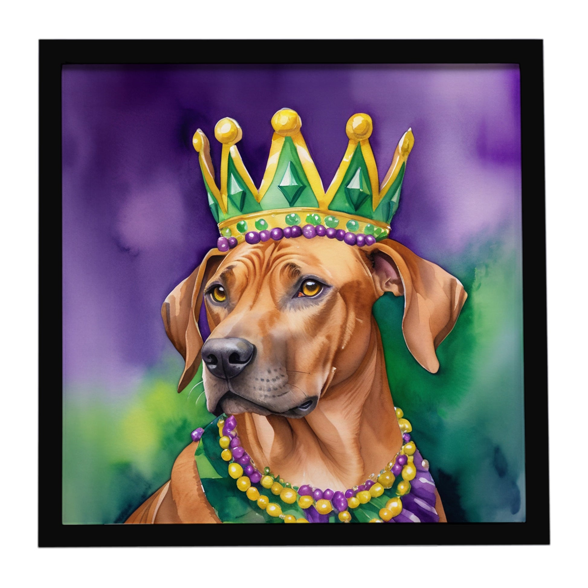 Buy this Rhodesian Ridgeback King of Mardi Gras Framed Metal Print