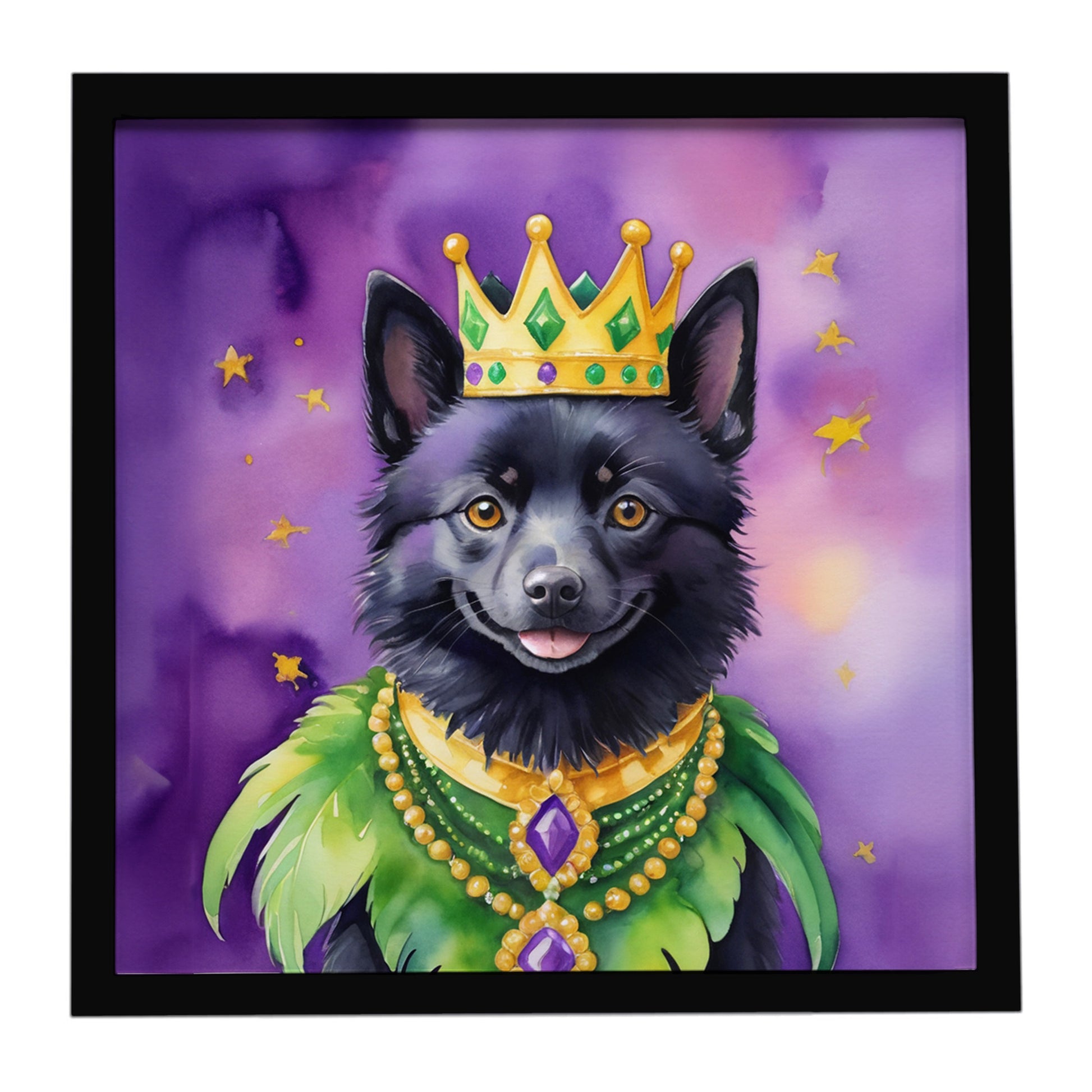 Buy this Schipperke King of Mardi Gras Framed Metal Print