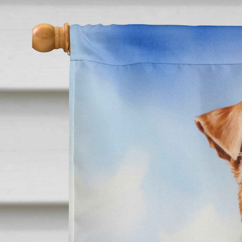 Irish Terrier Easter Egg Hunt House Flag