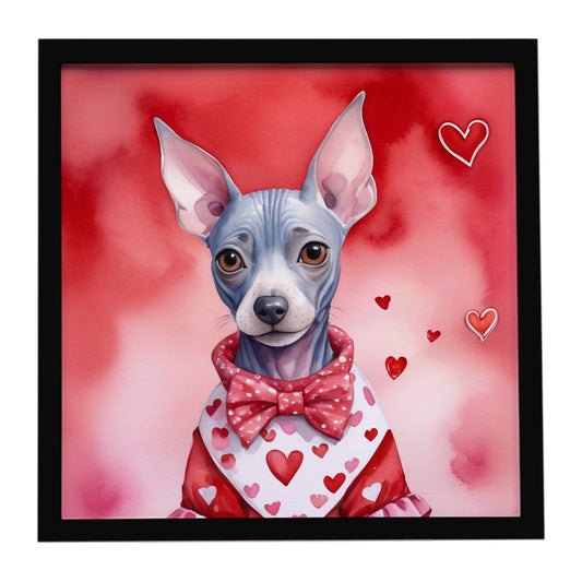 Buy this American Hairless Terrier My Valentine Framed Metal Print
