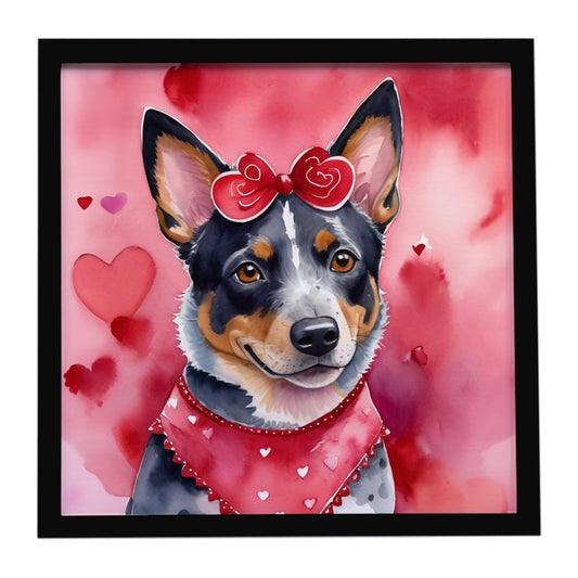 Buy this Australian Cattle Dog My Valentine Framed Metal Print
