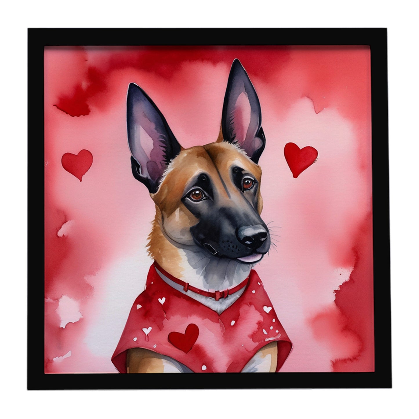 Buy this Belgian Malinois My Valentine Framed Metal Print