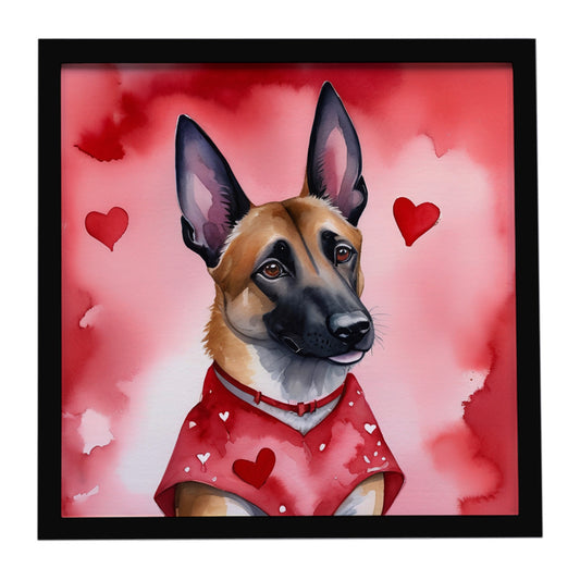 Buy this Belgian Malinois My Valentine Framed Metal Print