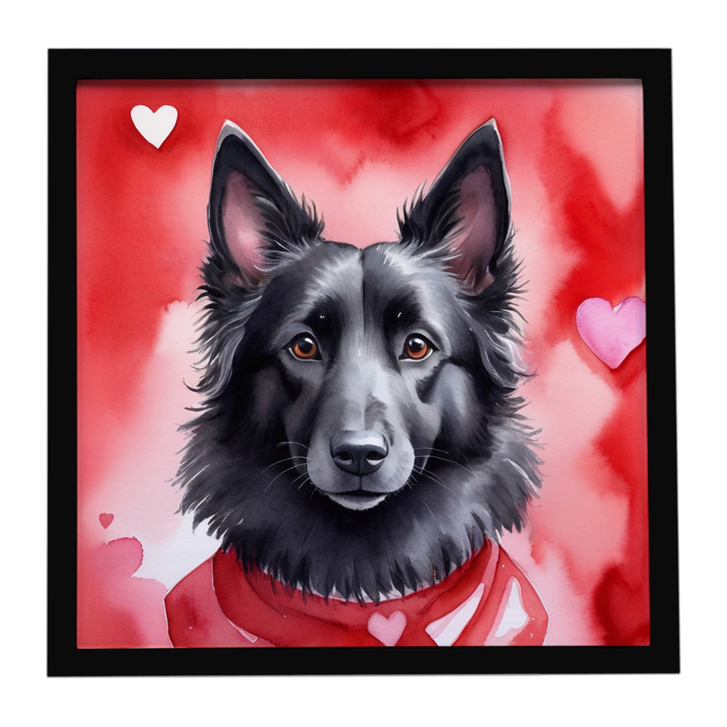 Buy this Belgian Sheepdog My Valentine Framed Metal Print