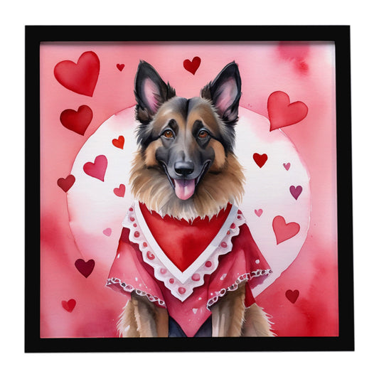 Buy this Belgian Tervuren My Valentine Framed Metal Print
