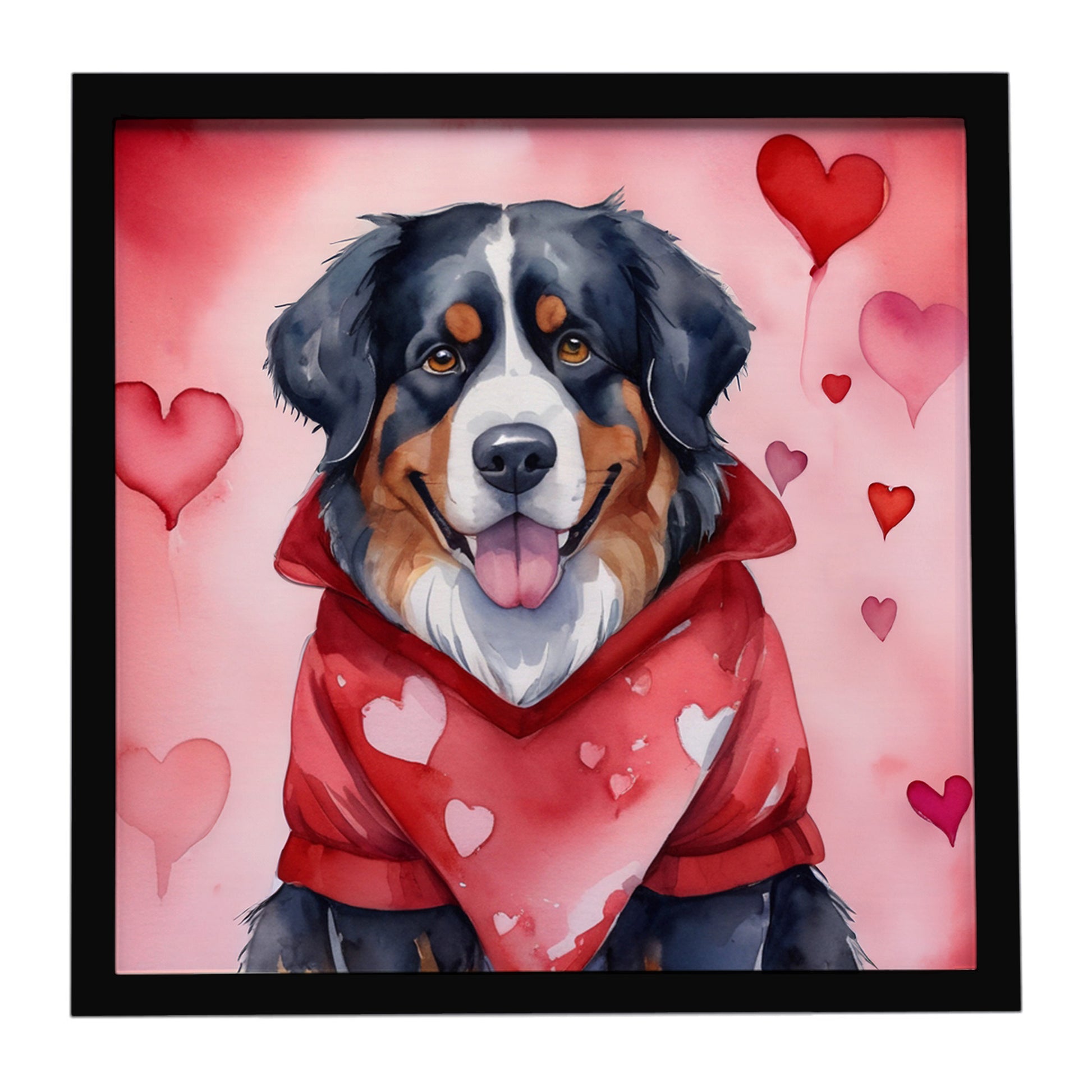 Buy this Bernese Mountain Dog My Valentine Framed Metal Print