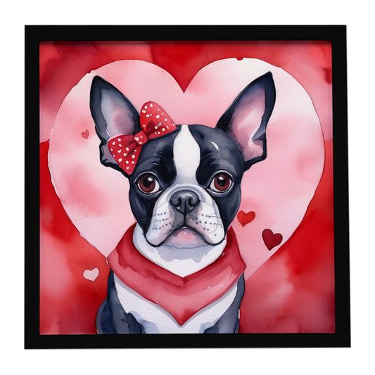 Buy this Boston Terrier My Valentine Framed Metal Print
