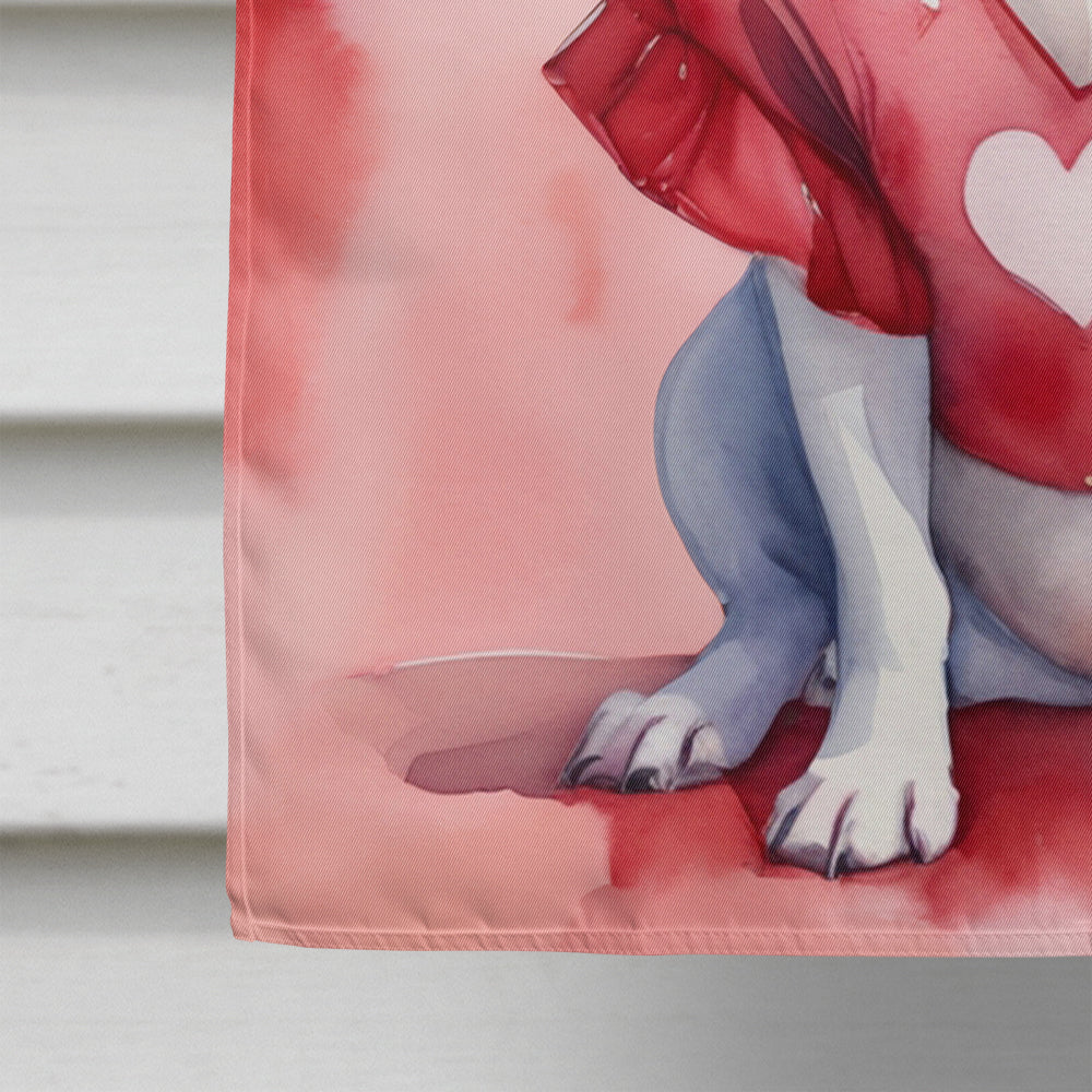 Bull Terrier My Valentine House Flag