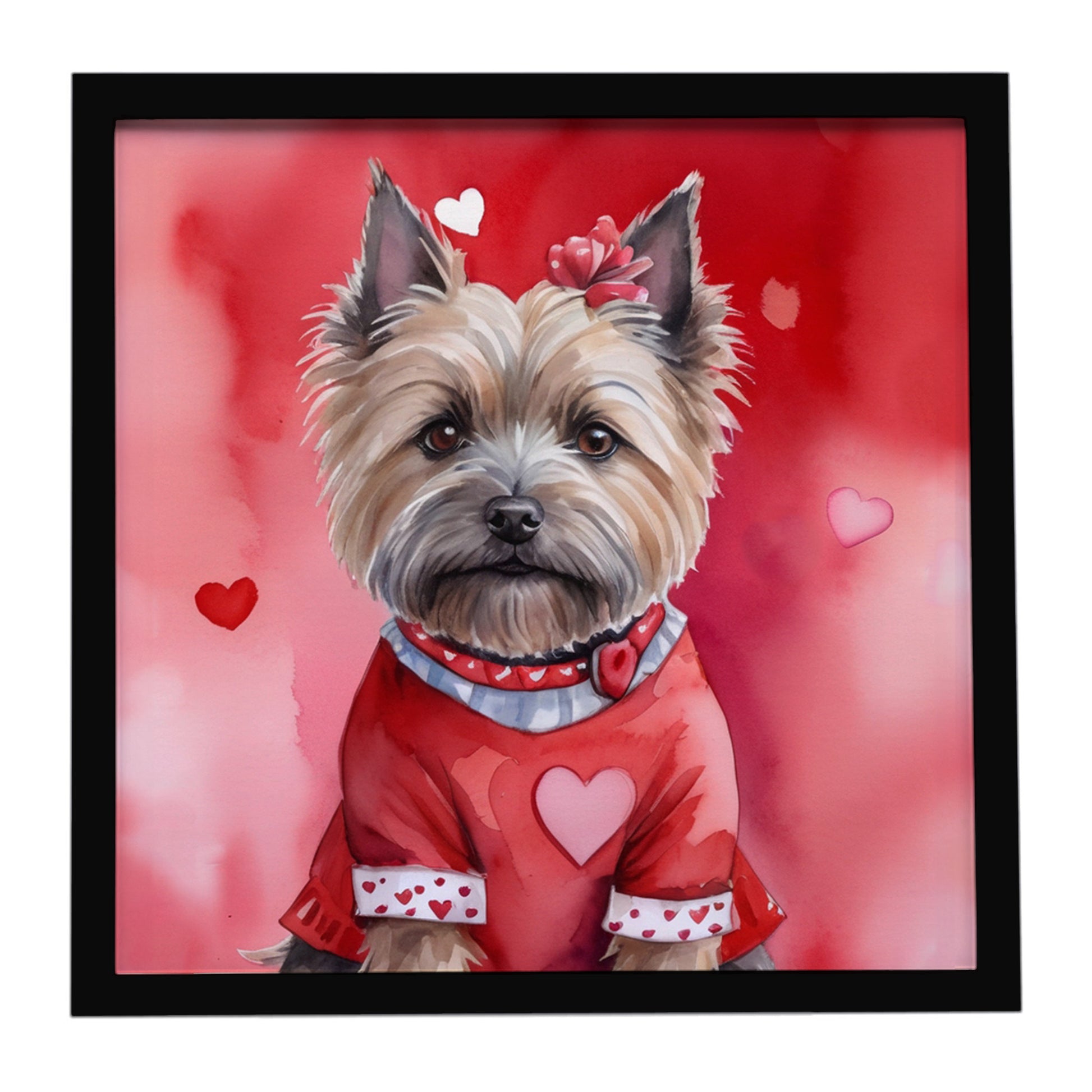 Buy this Cairn Terrier My Valentine Framed Metal Print