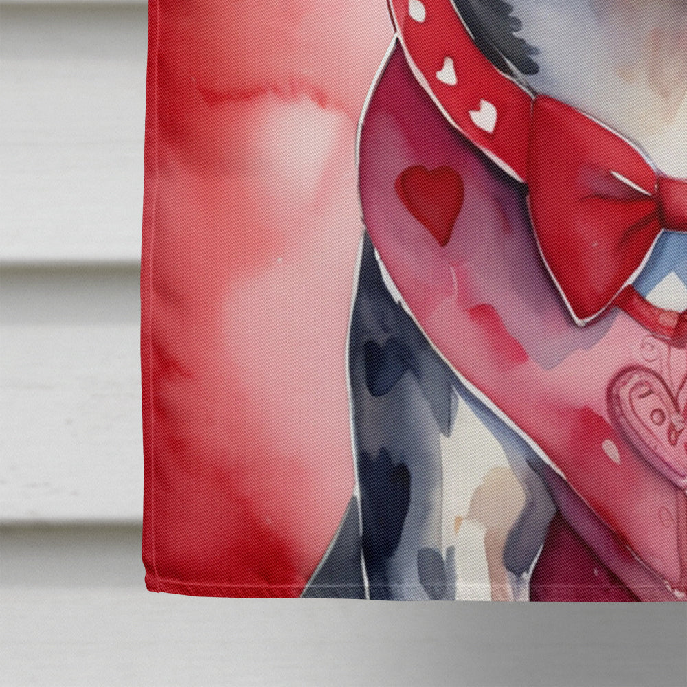 Catahoula My Valentine House Flag