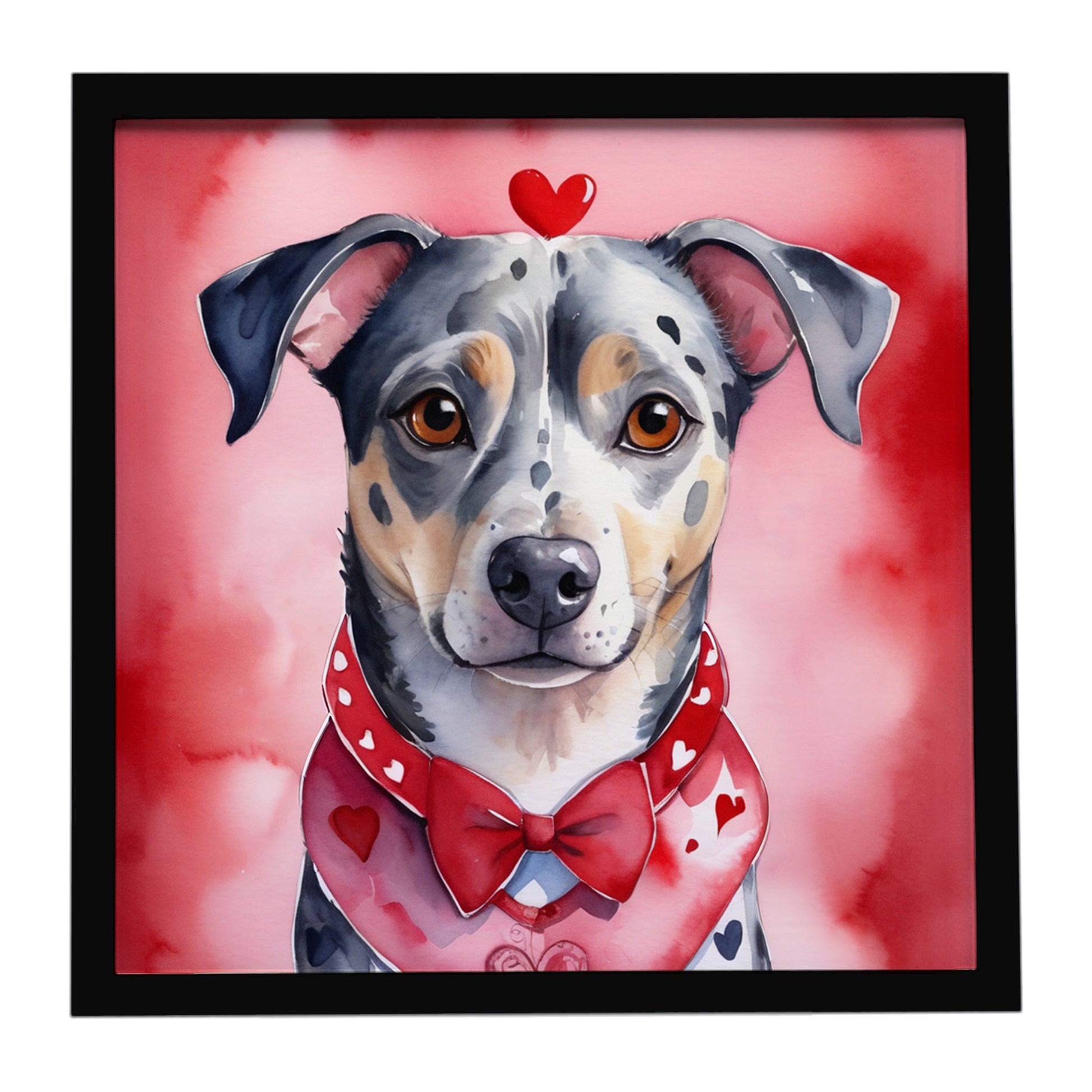 Buy this Catahoula My Valentine Framed Metal Print