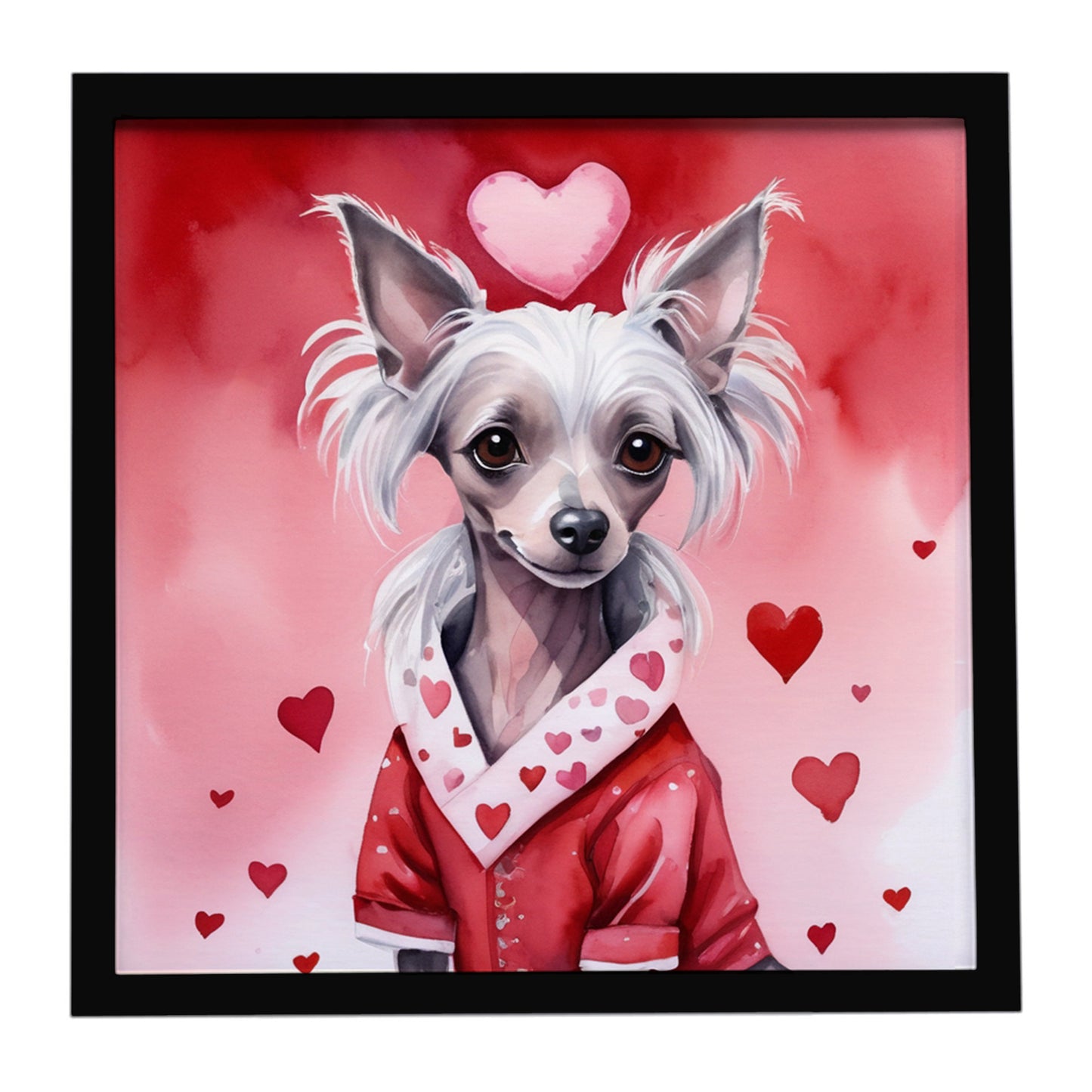 Buy this Chinese Crested My Valentine Framed Metal Print
