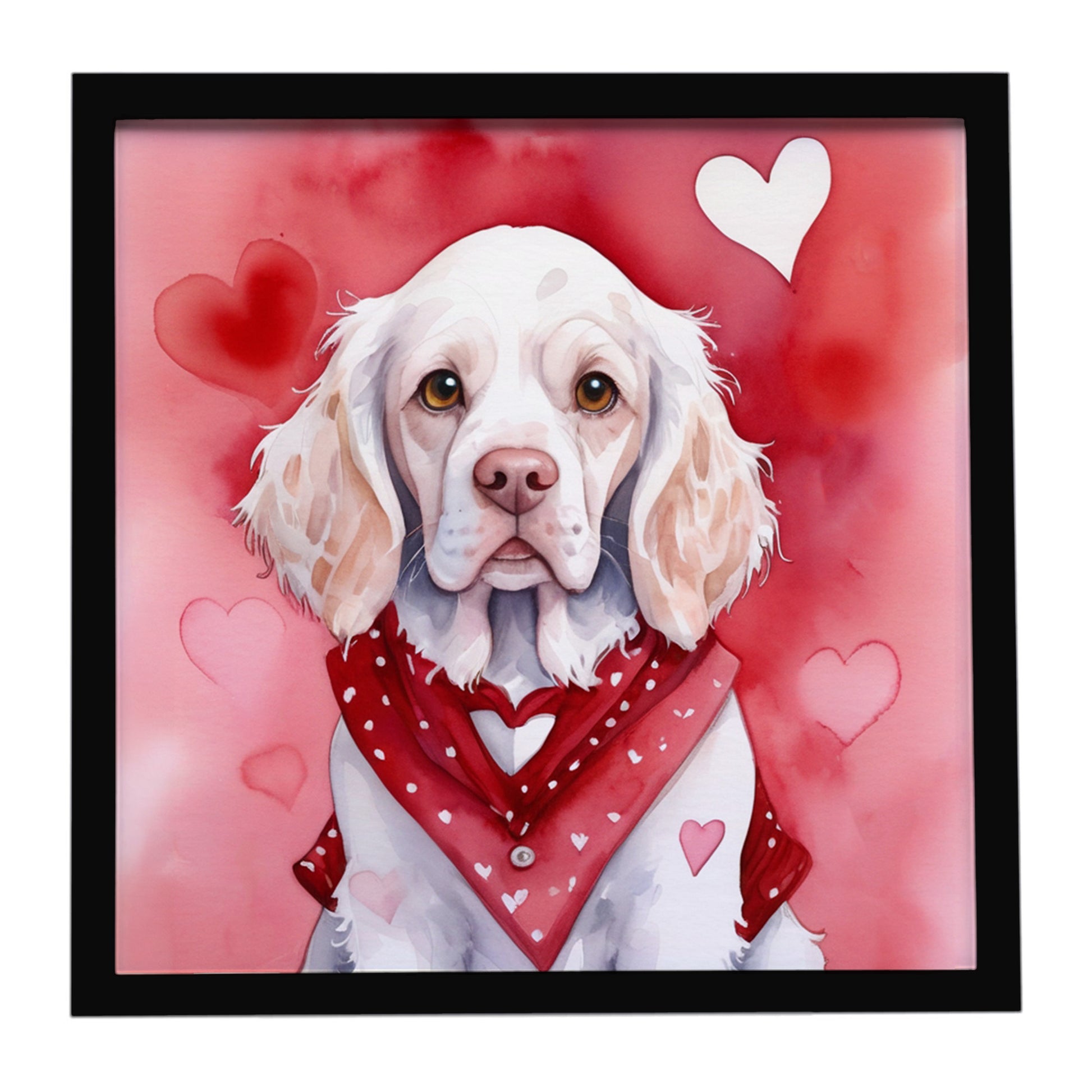 Buy this Clumber Spaniel My Valentine Framed Metal Print