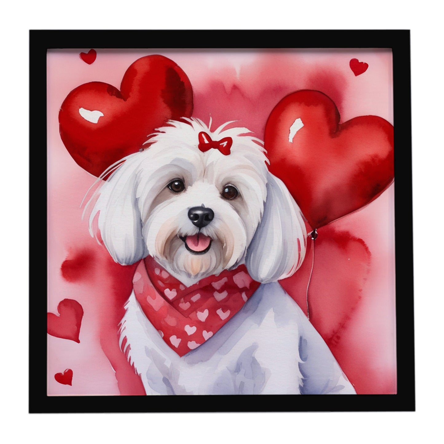 Buy this Coton de Tulear My Valentine Framed Metal Print