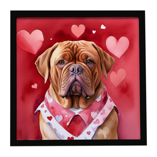 Buy this Dogue de Bordeaux My Valentine Framed Metal Print