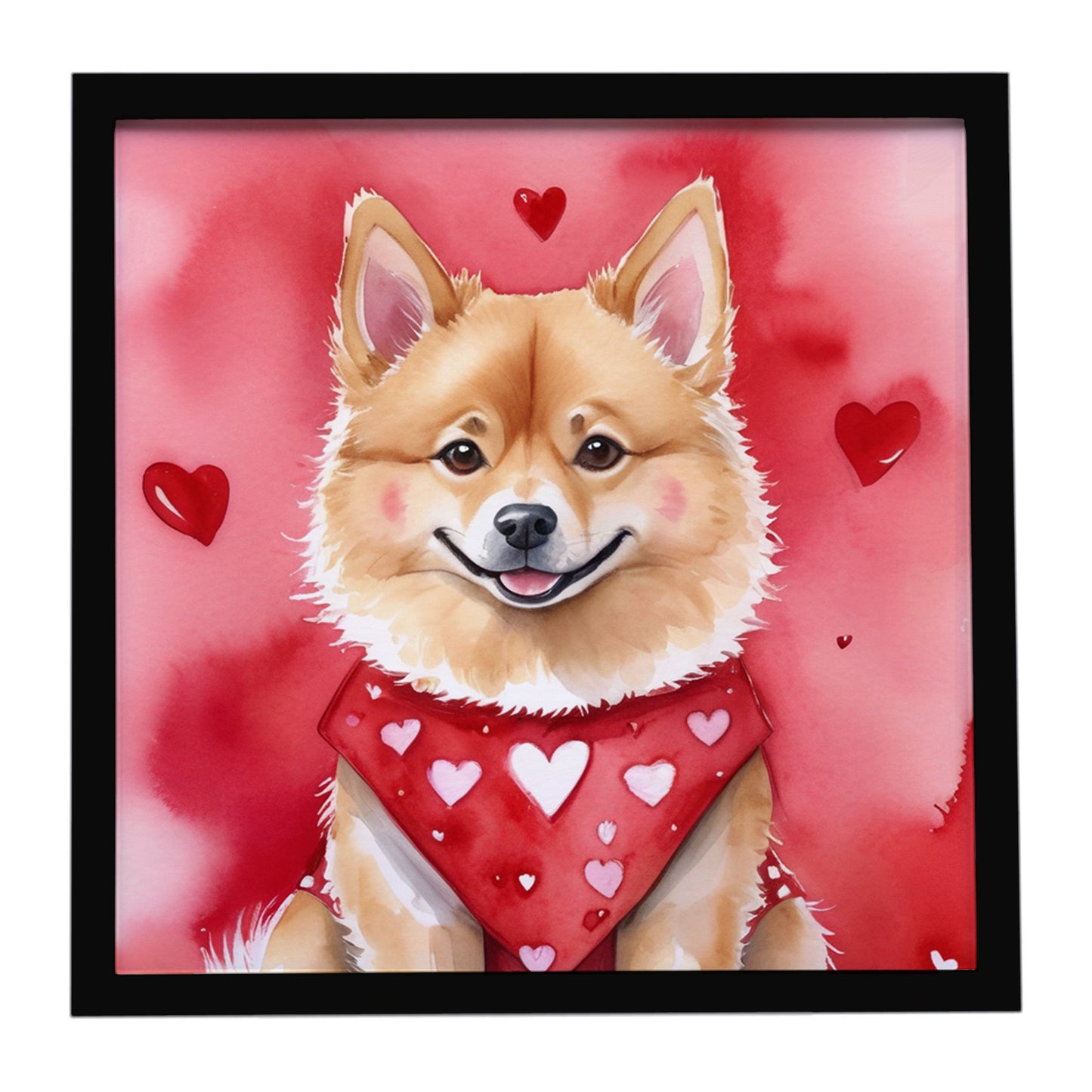 Buy this Finnish Spitz My Valentine Framed Metal Print