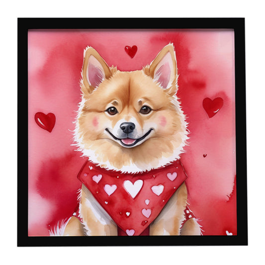 Buy this Finnish Spitz My Valentine Framed Metal Print