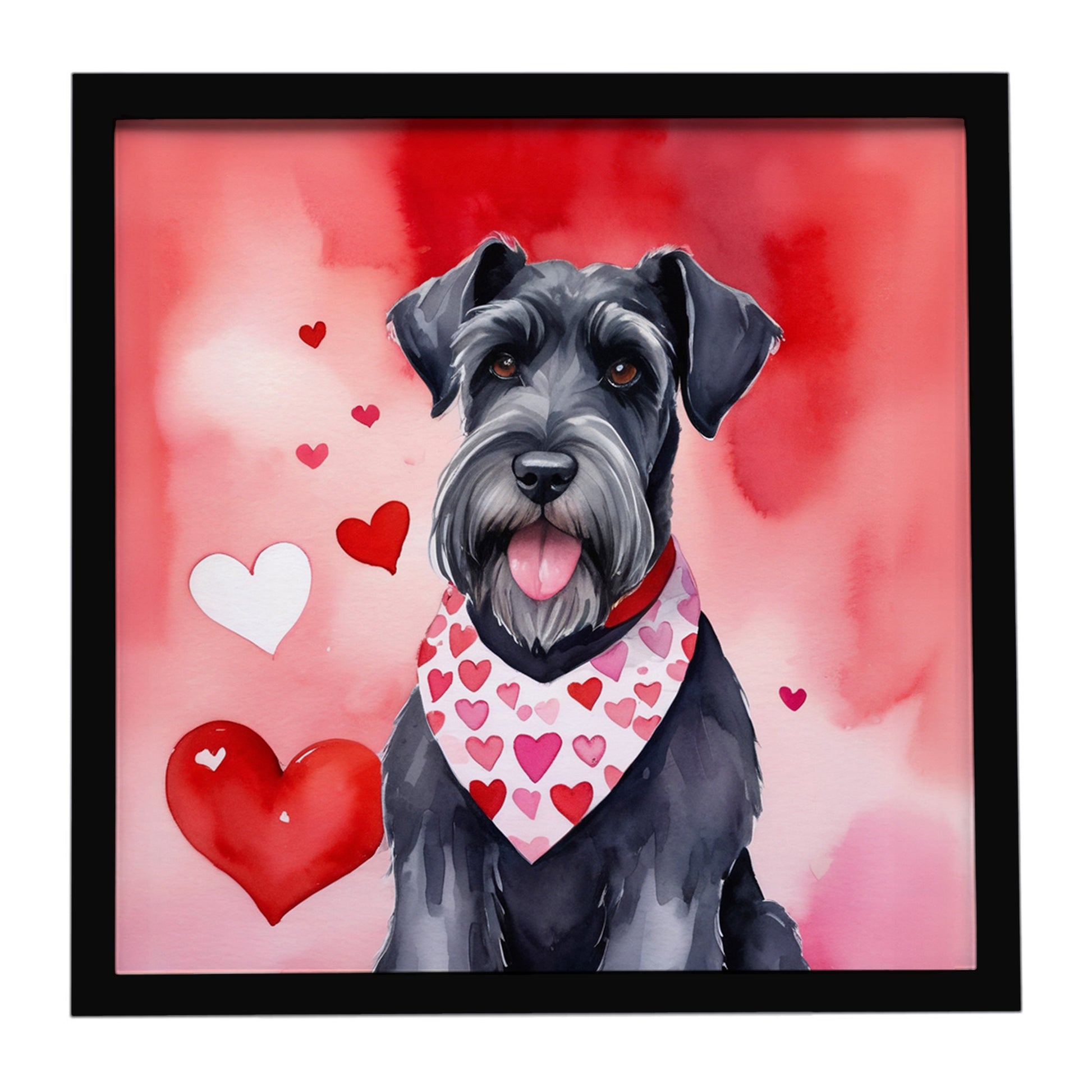 Buy this Giant Schnauzer My Valentine Framed Metal Print