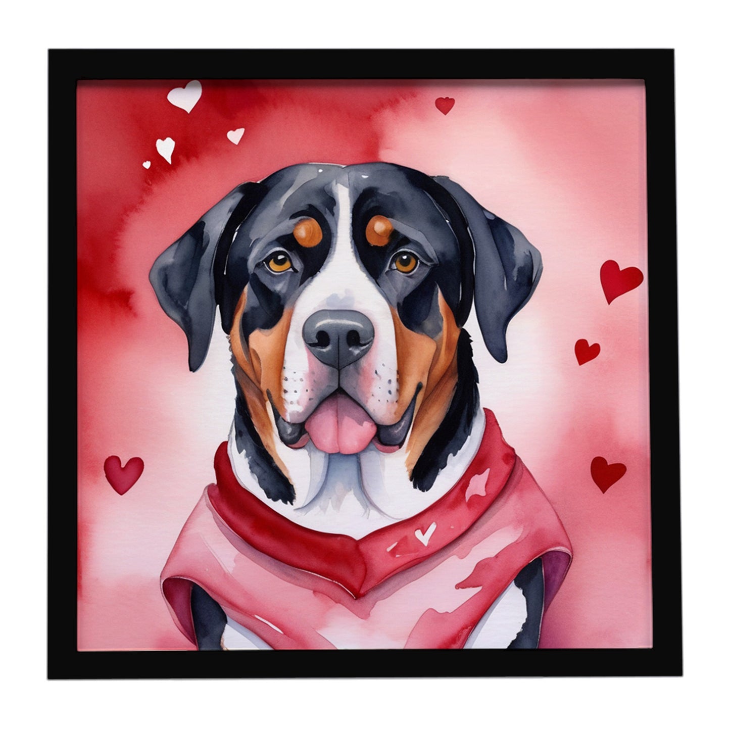 Buy this Greater Swiss Mountain Dog My Valentine Framed Metal Print