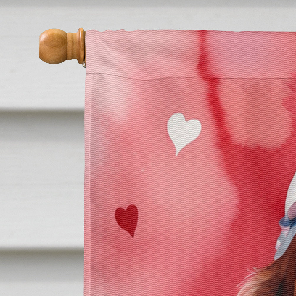 Irish Setter My Valentine House Flag