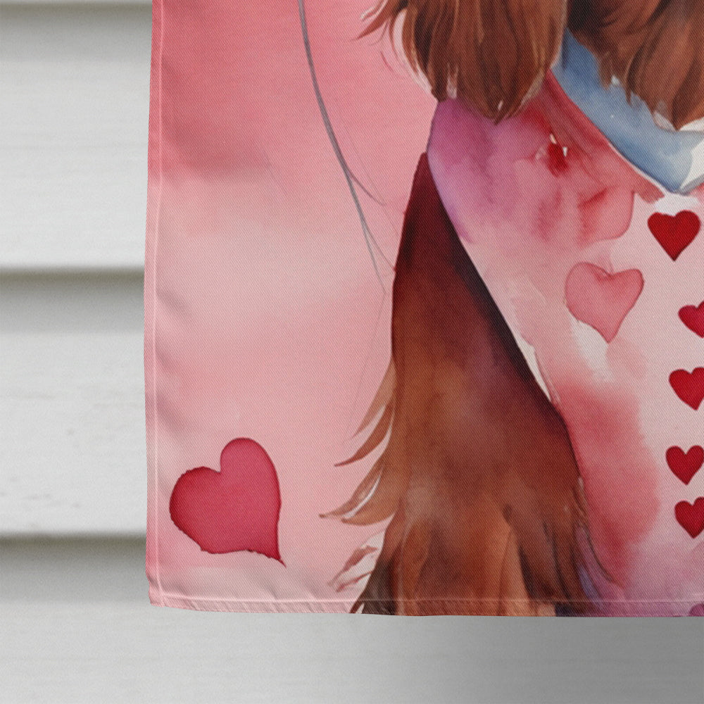 Irish Setter My Valentine House Flag