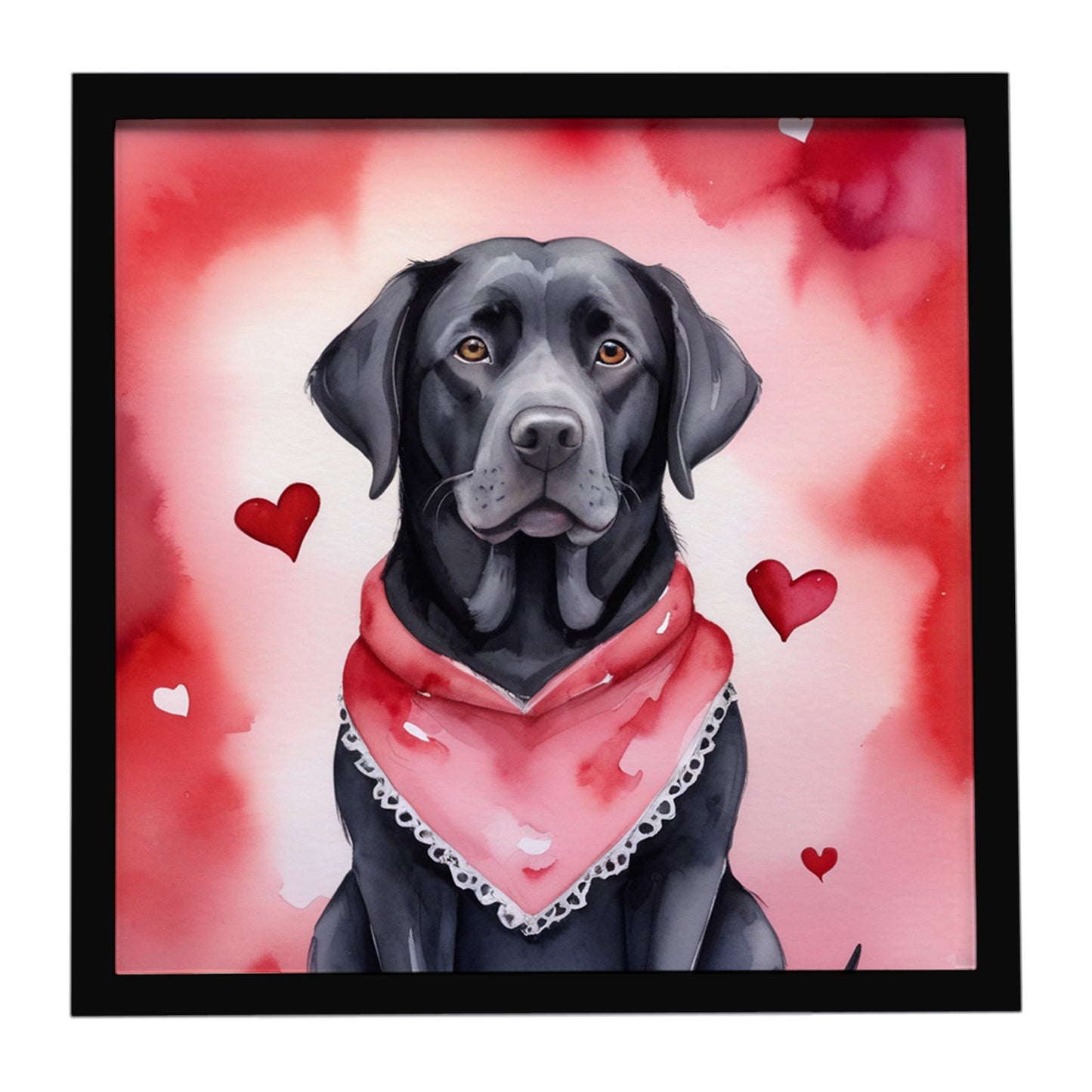 Buy this Black Labrador Retriever My Valentine Framed Metal Print