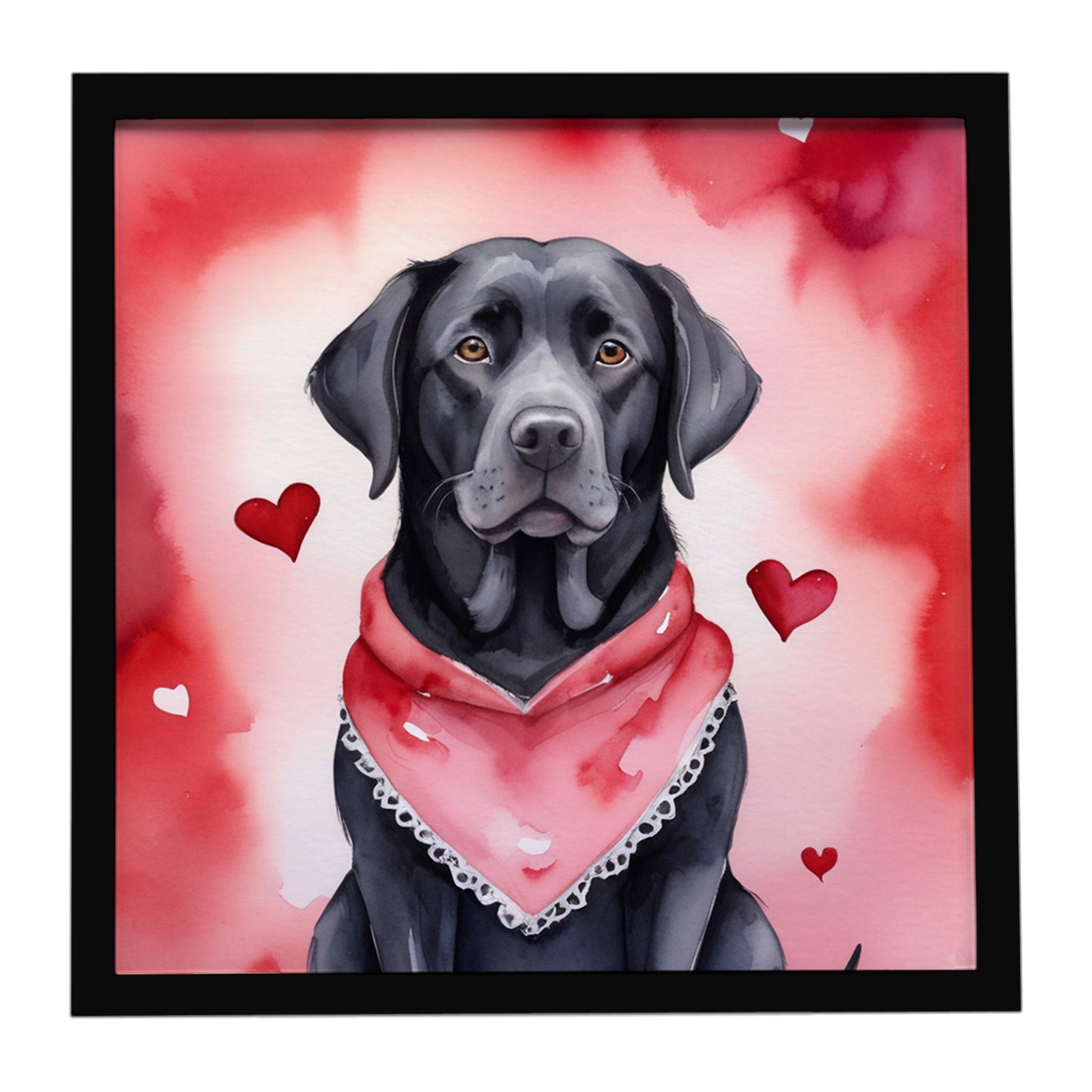 Buy this Black Labrador Retriever My Valentine Framed Metal Print